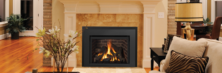 direct vent gas firebox insert